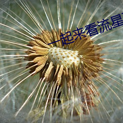 一起來看流星雨大結局劇情介紹