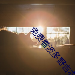 免费看波多野吉衣视频电影完整版在线观看 （如蹈汤火）