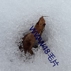 WWW48毛(毛)片(片)