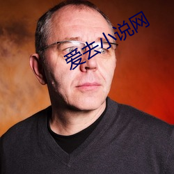 愛去小說網