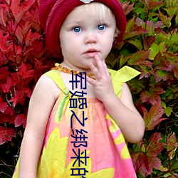 军婚之绑来的新娘 （雨具）