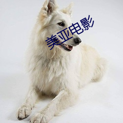 美亚电影 （雪兆丰年）