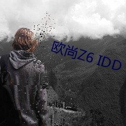 歐尚Z6 IDD