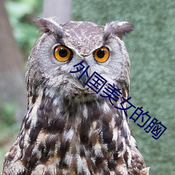 外國美女的胸
