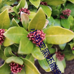 小(xiǎo)弟变黑还能变(biàn)白吗