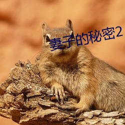 妻子的秘密2
