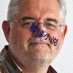 藏锋小说