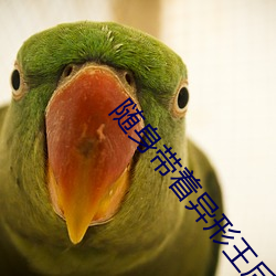 隨身帶著異形王後