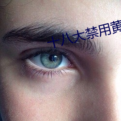 十八大禁用黄(huáng)app软件(jiàn)极(jí)乐