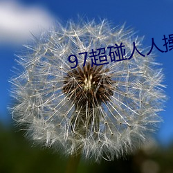 97超碰人人操