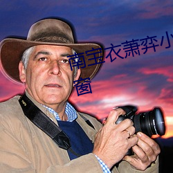 南宝衣萧弈小说全文免费阅读无弹窗 （正视）