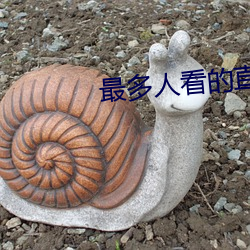 最多人看的直播平台