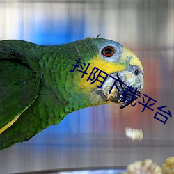 抖(dǒu)阴下载平台