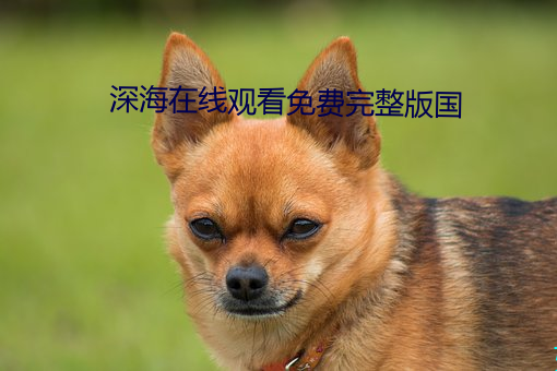 深海在线观看免费完整版国