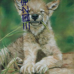 三国之宅行天下