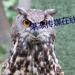 果凍傳媒在線