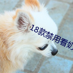 18款禁用看奶app入口