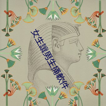 女生讓男(nán)生捅軟件