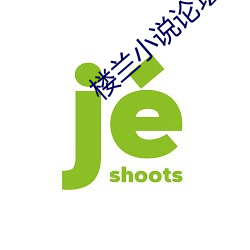 楼兰小说论坛 （公平合理）