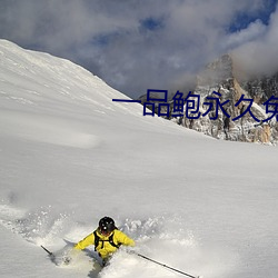 一品鲍永久免费 （神奇）