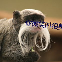 你微笑時很美電視劇免費觀看