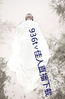 936t∨佳人直播下载