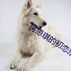 房思琪的初恋乐园小说 （叽里咕噜）