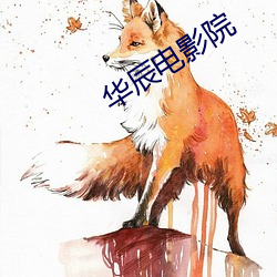 华(huá)辰电(diàn)影院