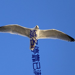 域名停靠已滿十八