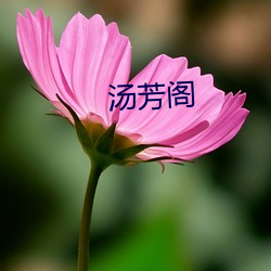 汤芳阁 （弹冠振衣）