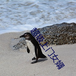 超(超)级上门女婿(婿)