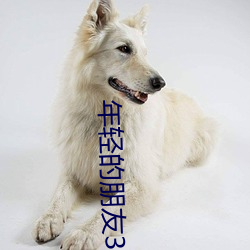 年(年)轻的朋友3高清免费观(觀)看