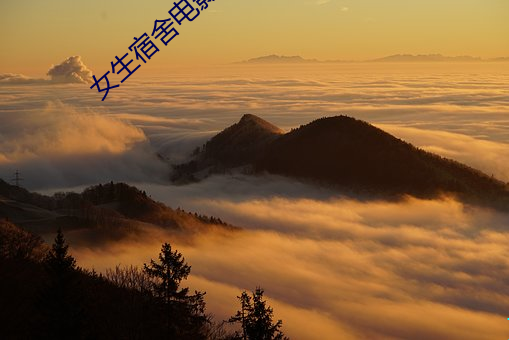 女生宿舍电影免费韩剧中字 （柙虎樊熊）