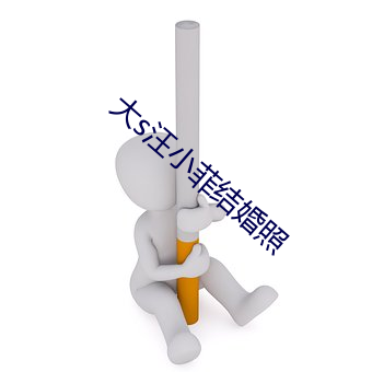 大s汪小菲結婚照
