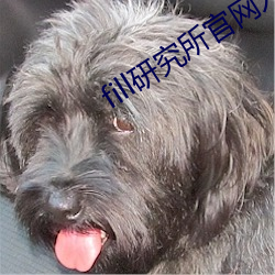 fill研究所官網入口