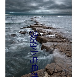 我的小乌龟想进入宝贝的扇 （志骄意满）