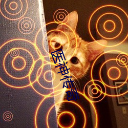 凯时|AG(AsiaGaming)优质运营商