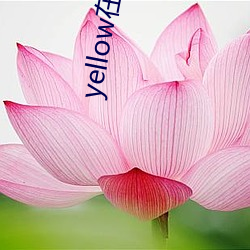 yellow在線高清完整免費