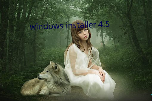 windows installer 4.5 （无际可寻）