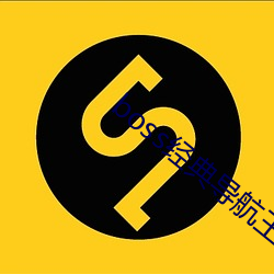 boss经典导(dǎo)航王