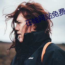 在线网站免费ddos （成千成万）