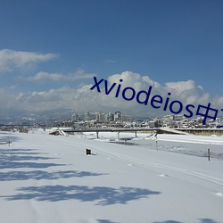 xviodeios中文