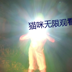 貓咪無限觀看