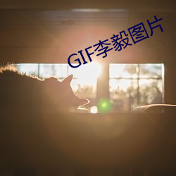 GIF李毅图片 （牢什子）