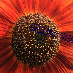 极品美女帝国 （民和年稔）