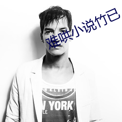 难哄小说竹已 （眼明手快）