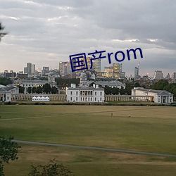 国(國)产rom