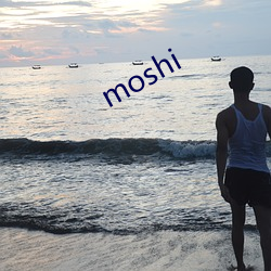 moshi （如人饮水，冷暖自知）