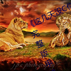 《这几天没C你了是不是皮痒》电影完整版手机免费播放