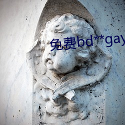 免费bd**gay视频可(kě)观(guān)看